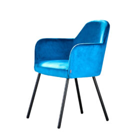 Flaminia Steel